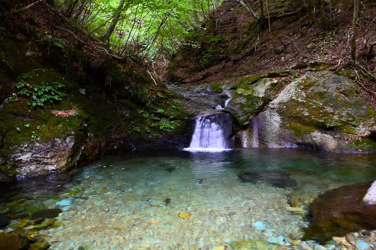 投稿写真：Emerald green Water