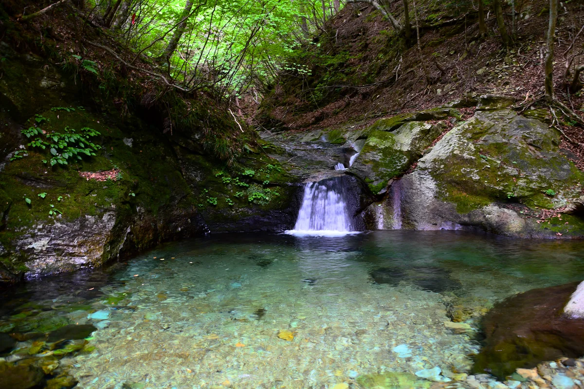 投稿写真：Emerald green Water