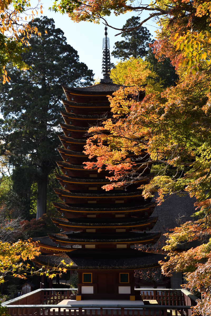 投稿写真：談山神社