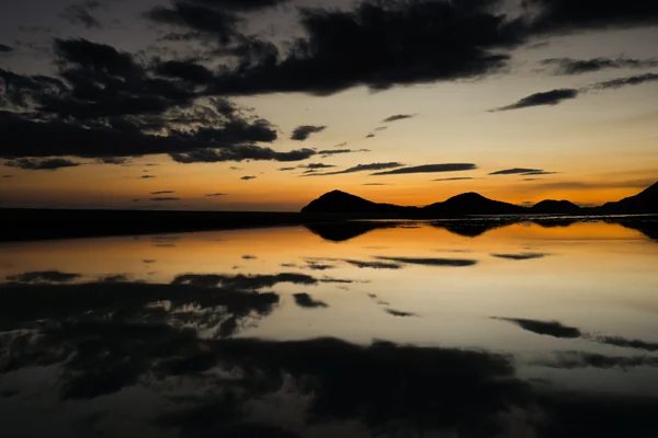 投稿：イエローマジックアワー