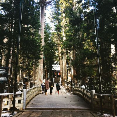  | 絶景事典