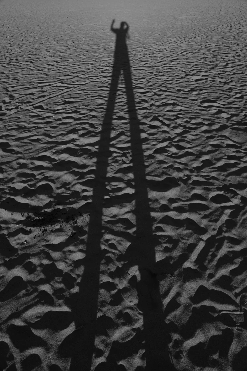 投稿写真：あしながおじさん