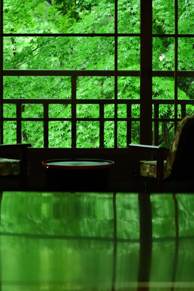 投稿写真：卓上の新緑