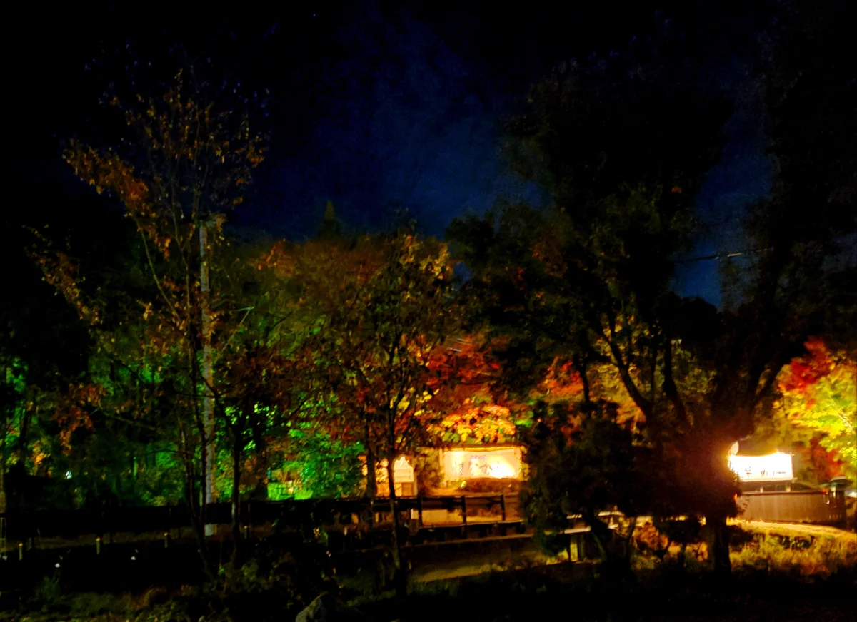 投稿写真：宿の明かり