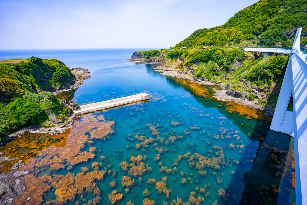 投稿写真：海の透明度の高さを目の当たりに出来る絶景橋 長者ヶ橋