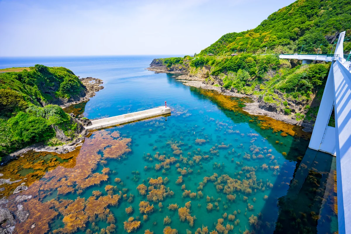 投稿写真：海の透明度の高さを目の当たりに出来る絶景橋 長者ヶ橋