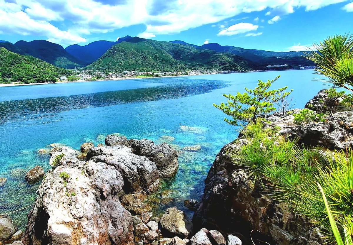 千夏さんの投稿写真