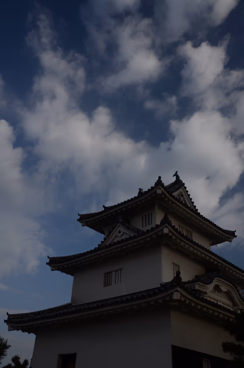 投稿写真：丸亀城天守閣
