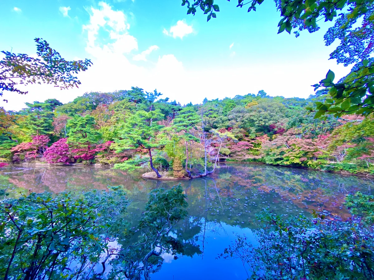 投稿写真：長谷池の逆さ紅葉
