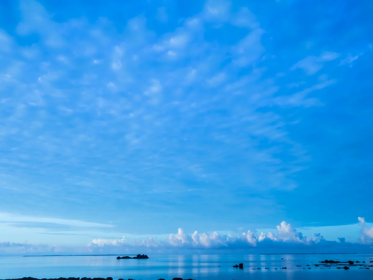 投稿写真：早朝の水鏡