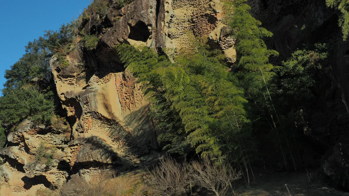 投稿写真：虫喰岩