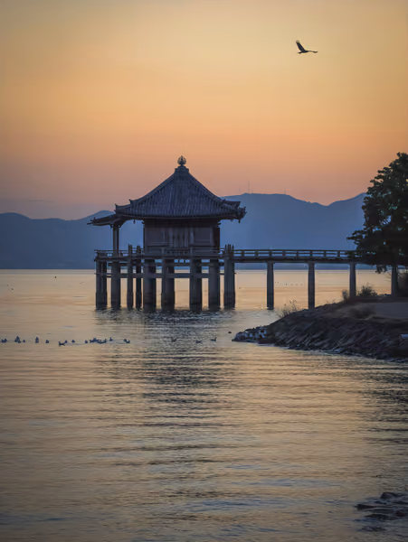投稿：夕刻の静寂に舞う 〜近江八景・堅田の落雁を望む〜