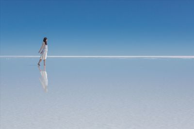 投稿：白の王国