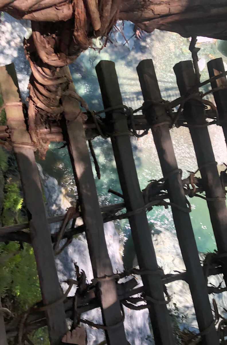 投稿写真：かずら橋から下を見る