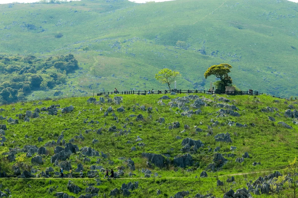 投稿写真：秋吉台