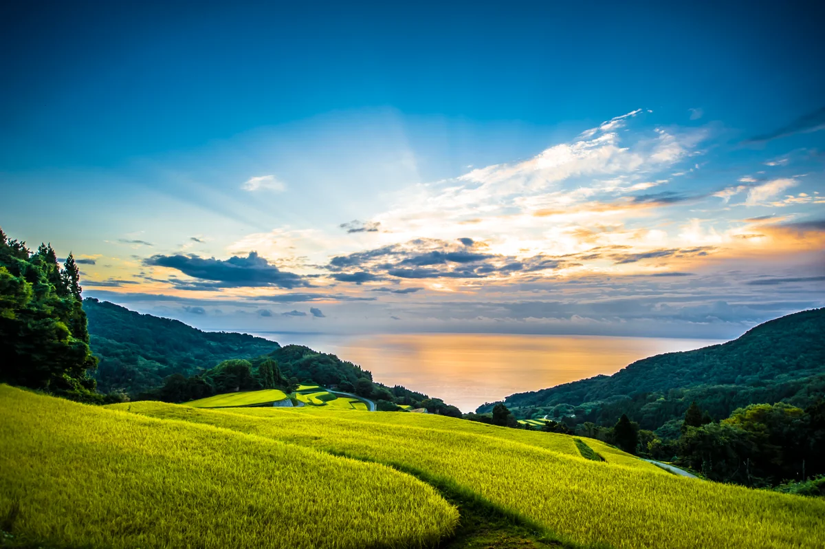 投稿写真：朝陽の昇る棚田