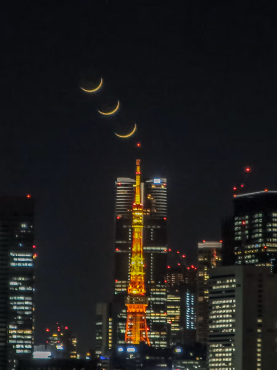 投稿写真：東京タワー目指して沈む三日月