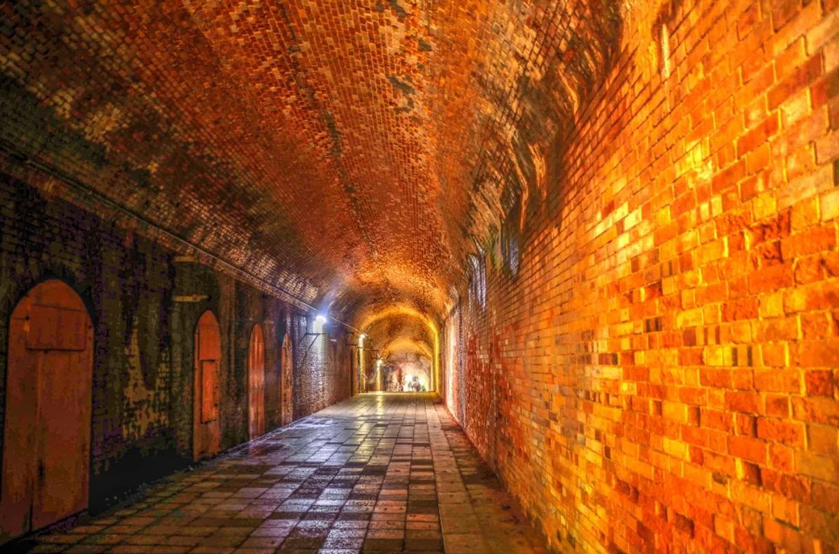 投稿写真：闇の道