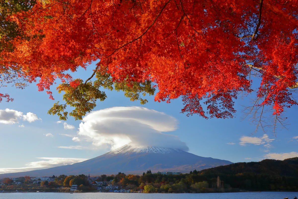 溝口 崇さんの投稿写真
