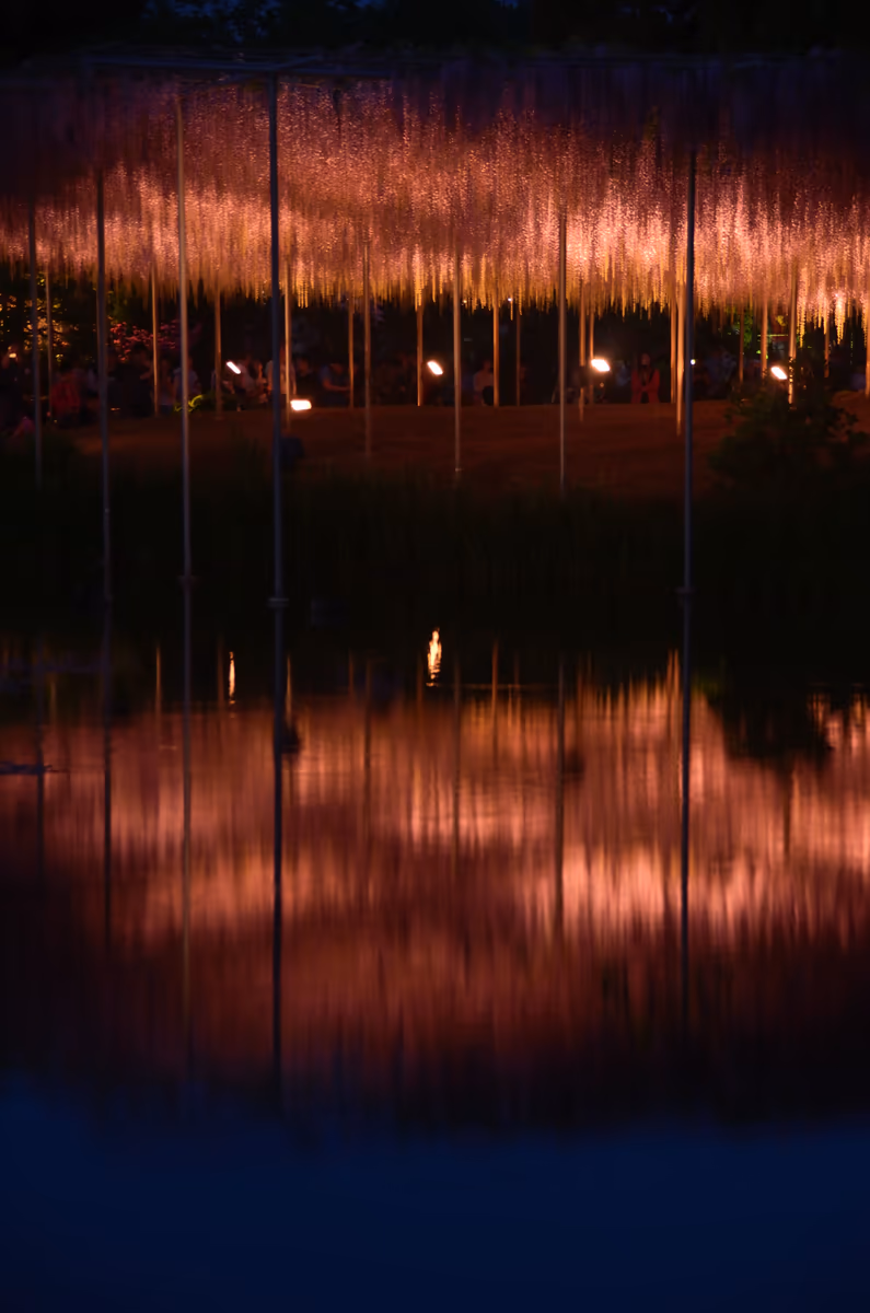投稿写真：闇の夜