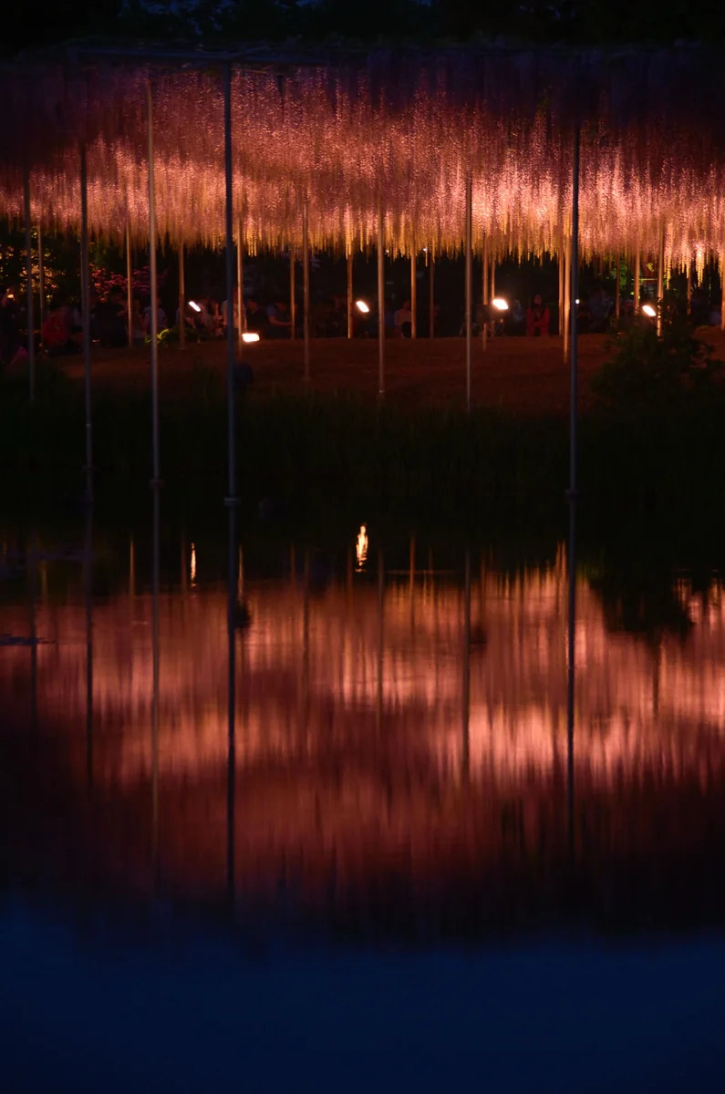 投稿写真：闇の夜