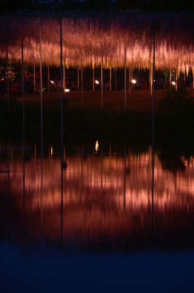  | 絶景事典