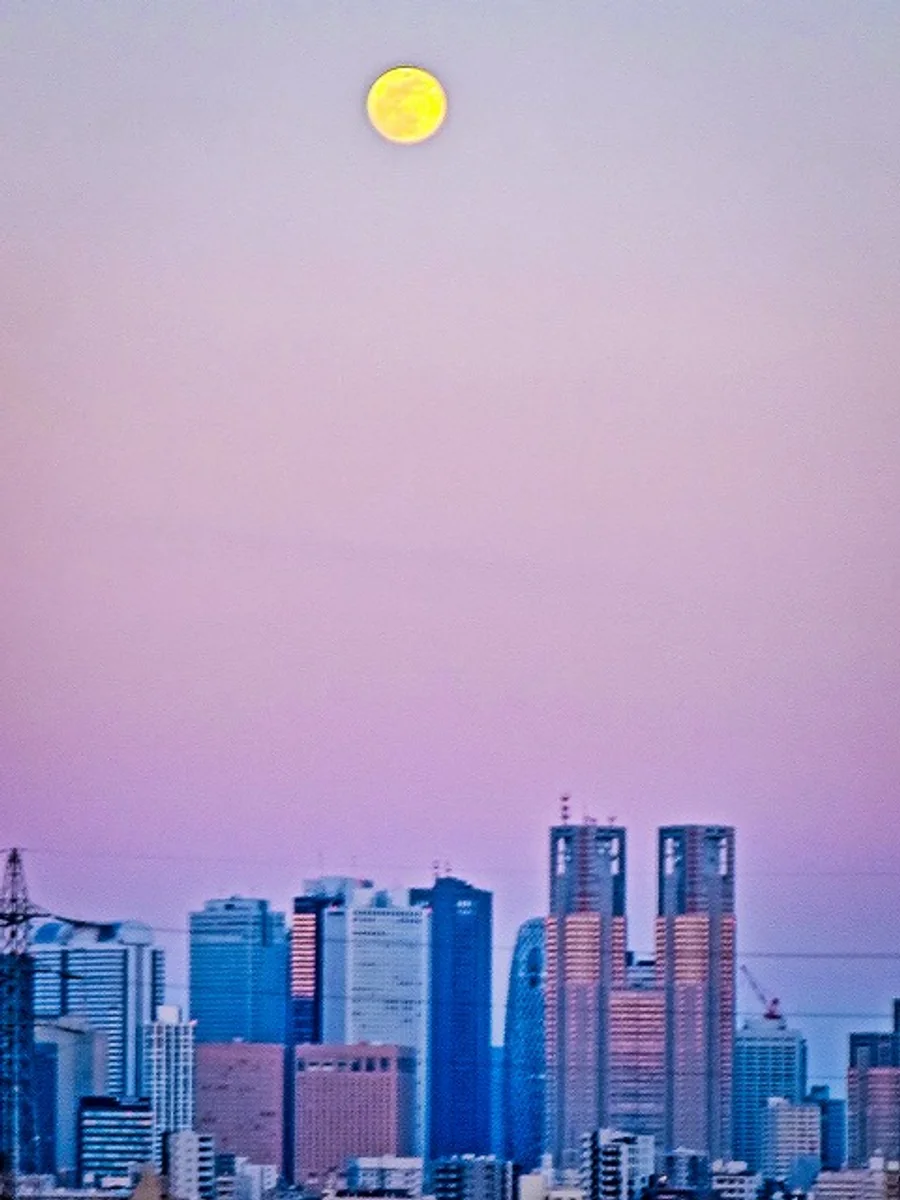 投稿写真：ビーナスベルトの中の小望月と新宿副都心