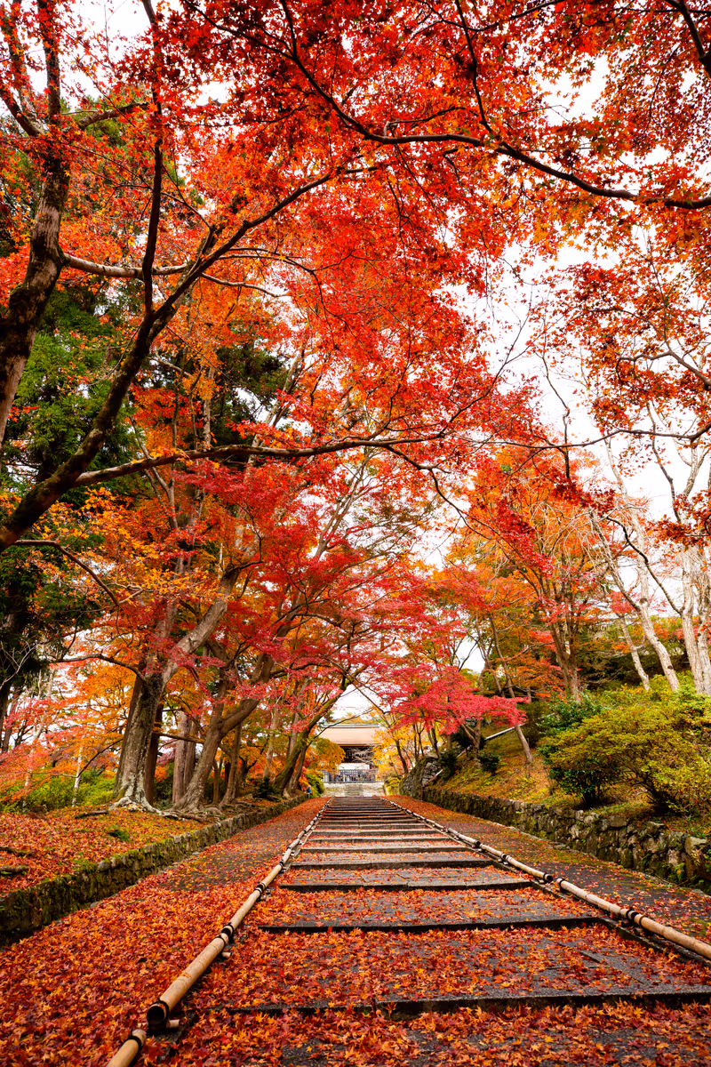 投稿写真：毘沙門堂門跡