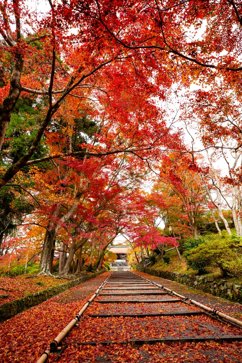 投稿写真：毘沙門堂門跡
