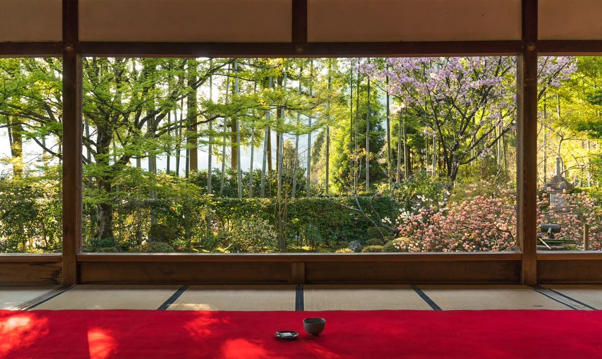 Akinobu Emiさんの投稿写真