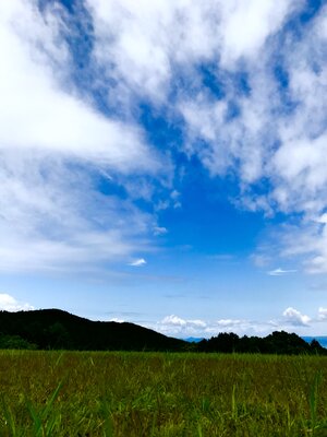  | 絶景事典