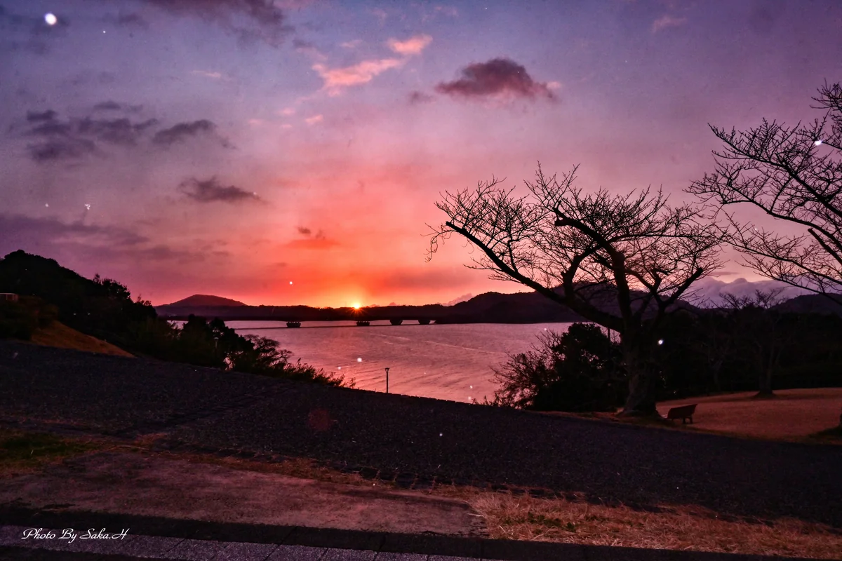 投稿写真：小雪舞う日の出