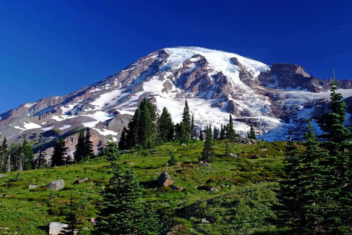 投稿写真：マウントレーニア、まさにパラダイス！