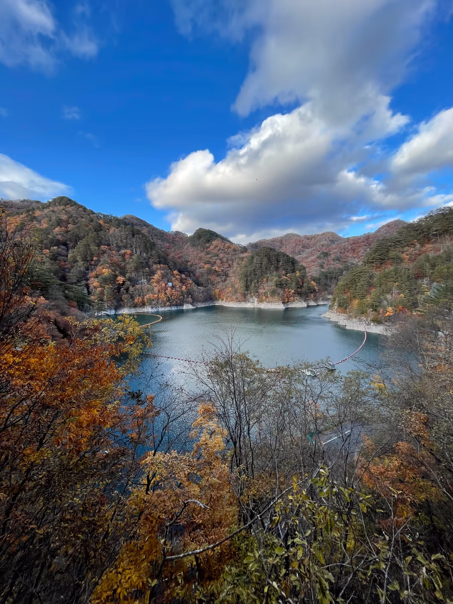 投稿写真：水俣ダム
