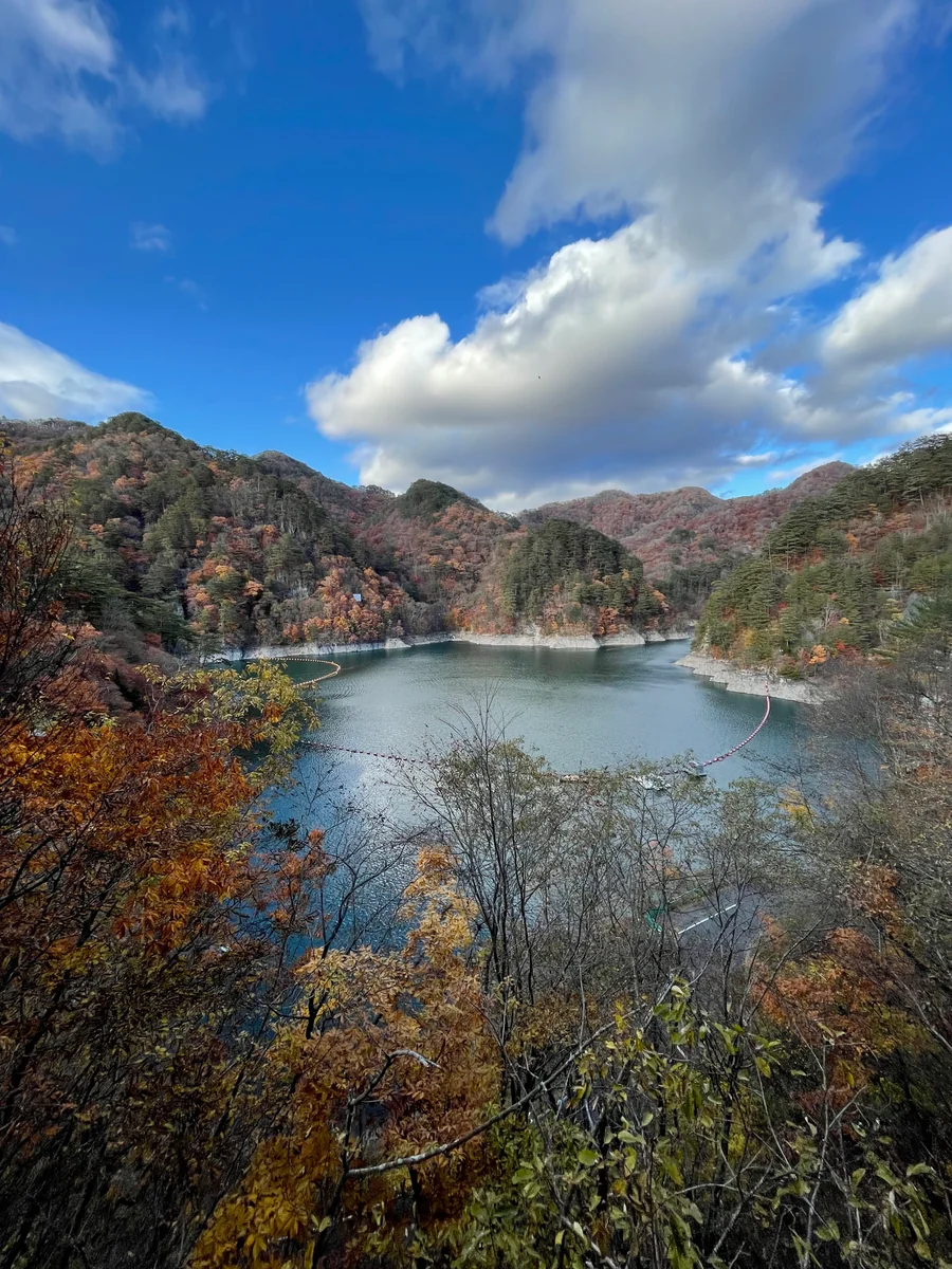 投稿写真：水俣ダム