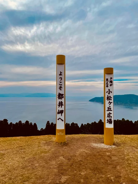 投稿：野生馬の楽園