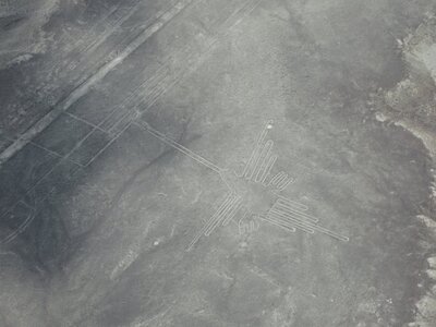投稿：ナスカの地上絵