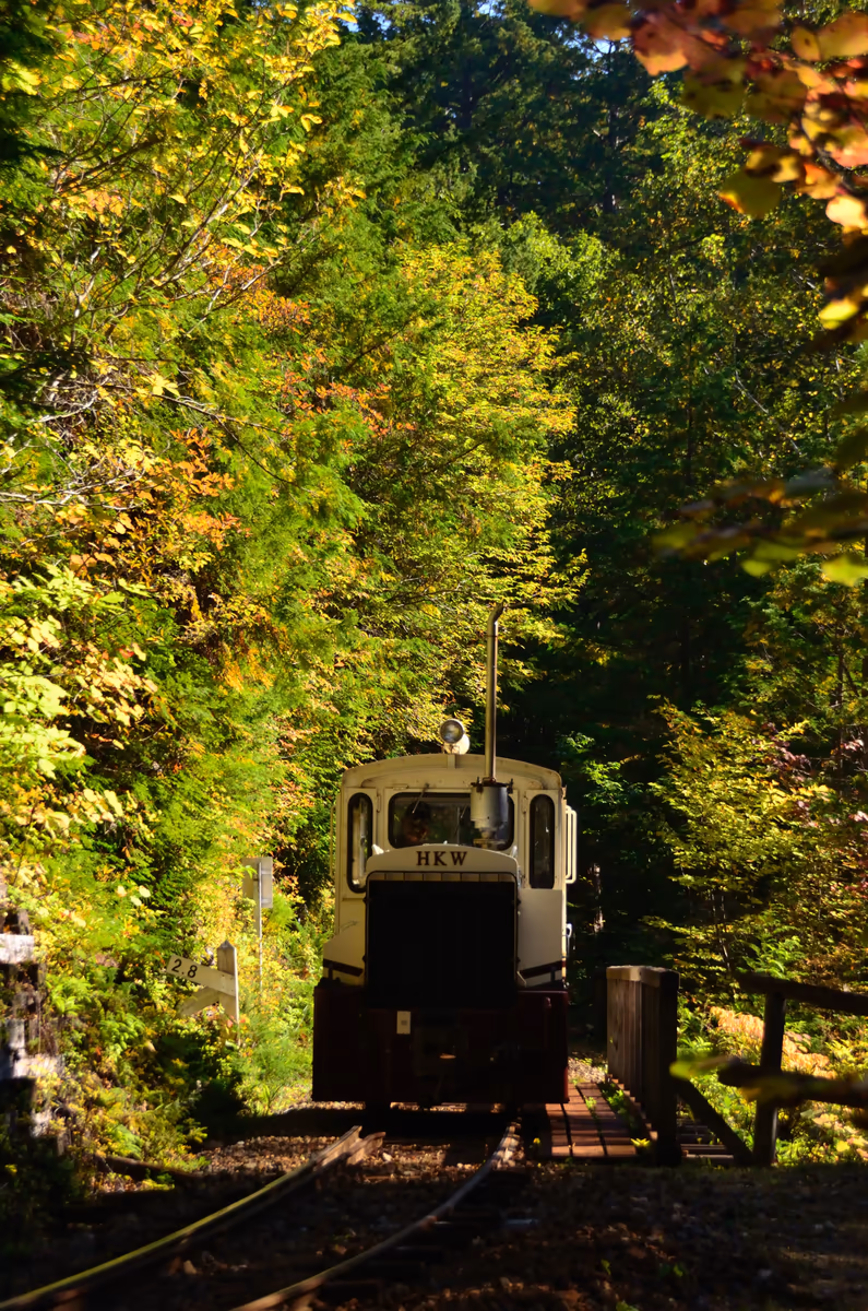 投稿写真：秋の森を走る森林鉄道