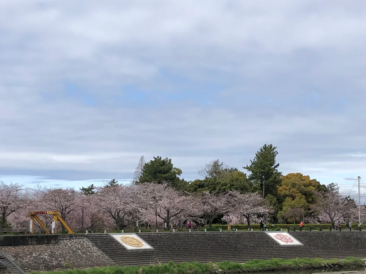 投稿写真：清洲公園