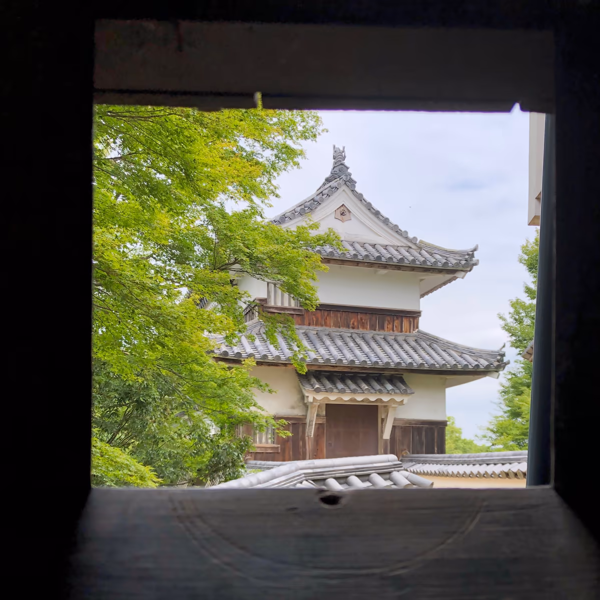 投稿写真：備中松山城の二重櫓