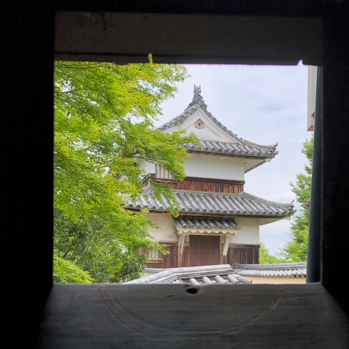 投稿写真：備中松山城の二重櫓