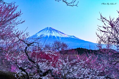  | 絶景事典