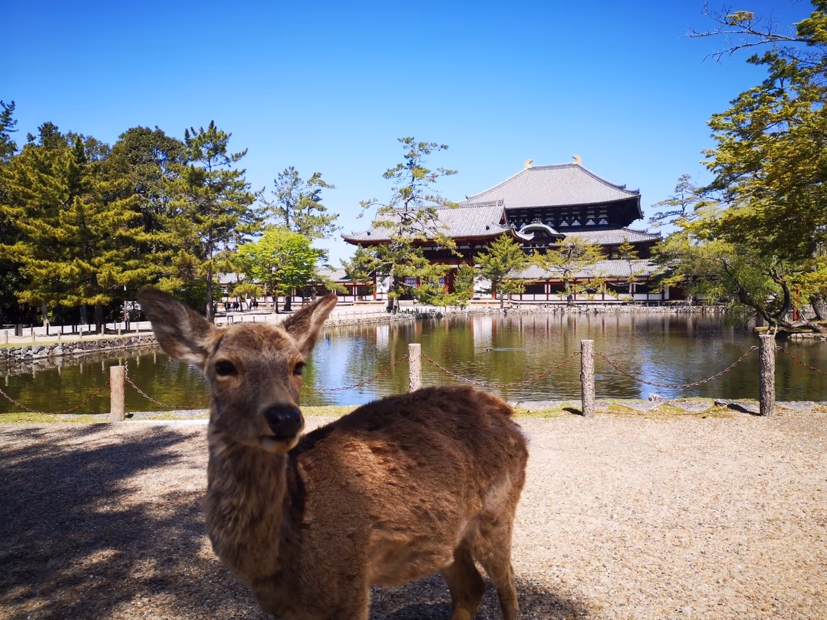 投稿写真：東大寺