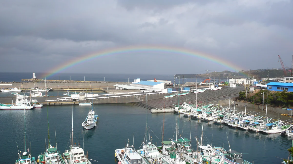 投稿写真：漁港にかかる完璧なアーチ
