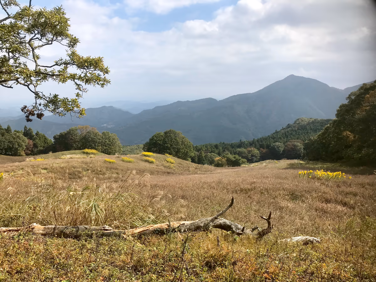 投稿写真：大霧山