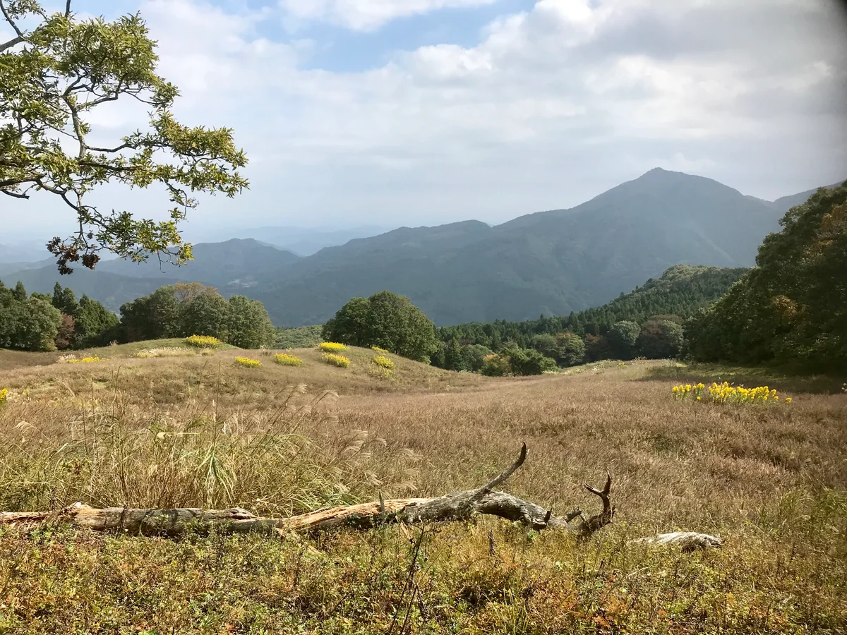 投稿写真：大霧山