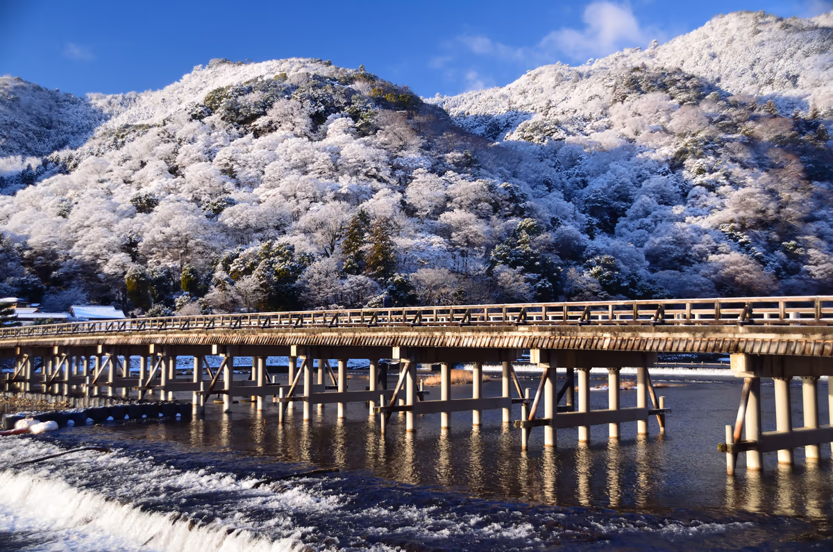 投稿写真：冬の晴　雪の渡月橋