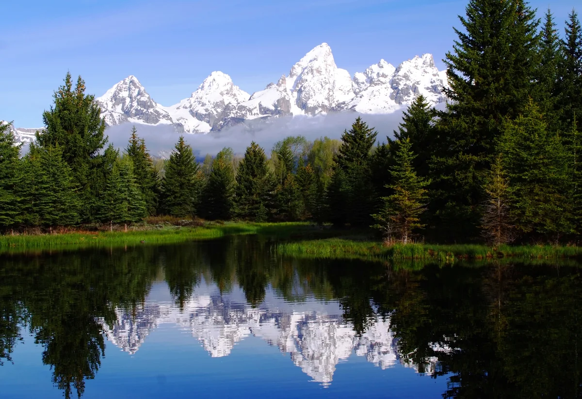 投稿写真：ティトン、遙かなり