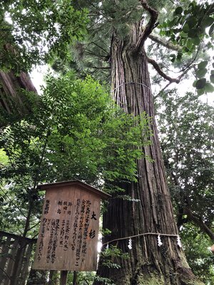 | 絶景事典