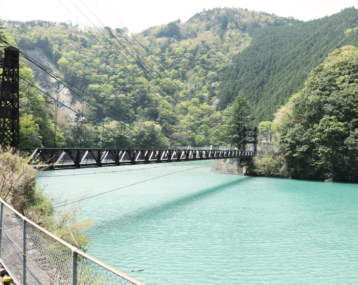 投稿写真：大井川鉄道井川線🚃の旅